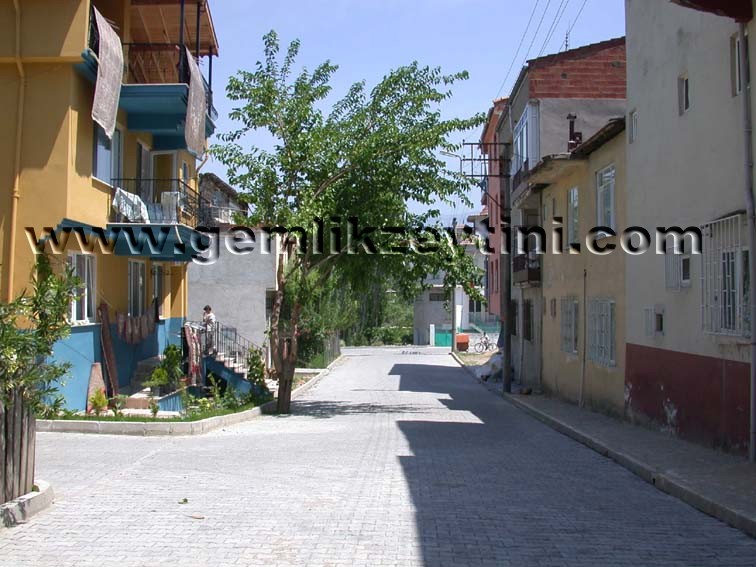 gelincik_osm gelincik osm
