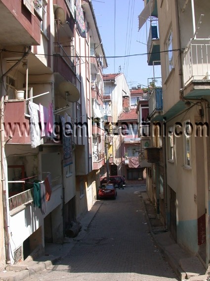 guler_osmaniye guler osmaniye