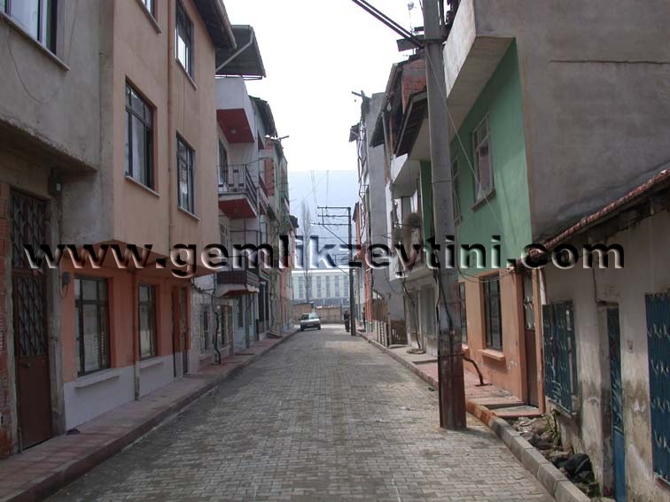guven guven