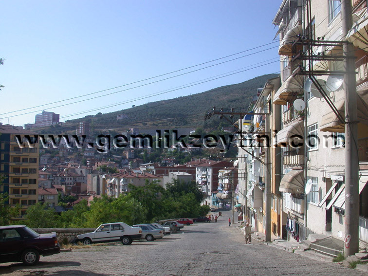 guvensokak2 guvensokak2