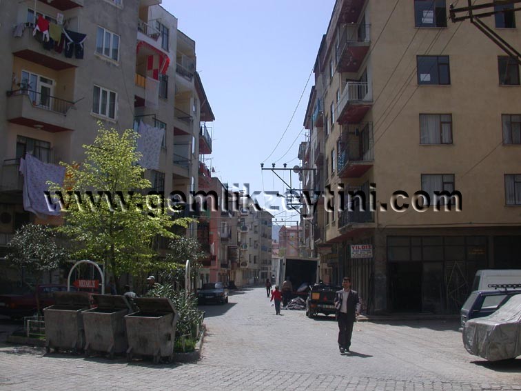 kestane_edincer kestane edincer