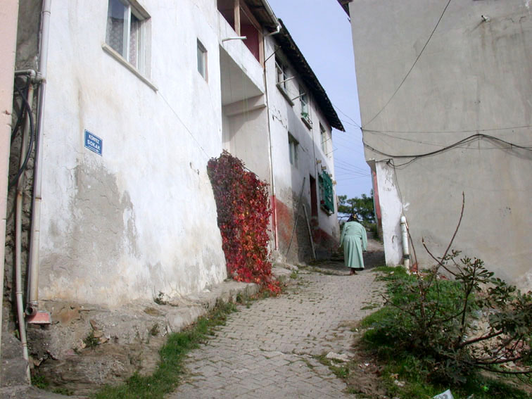 korfez korfez