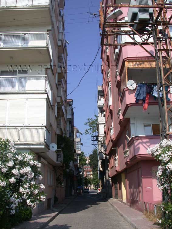mektepsokak mektepsokak