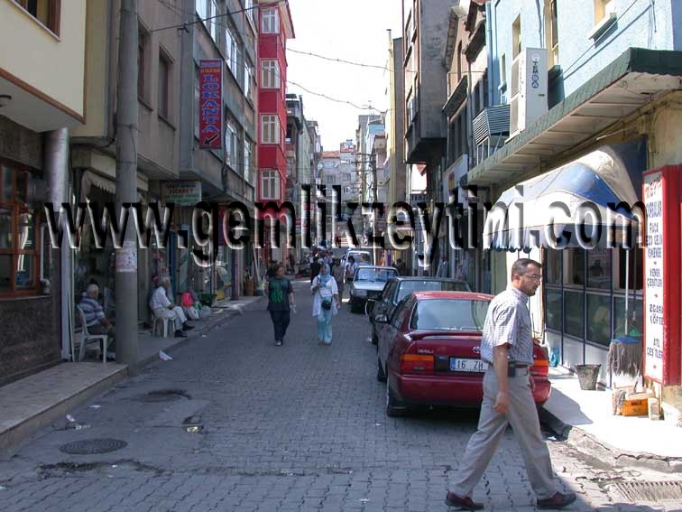 mesudiye mesudiye