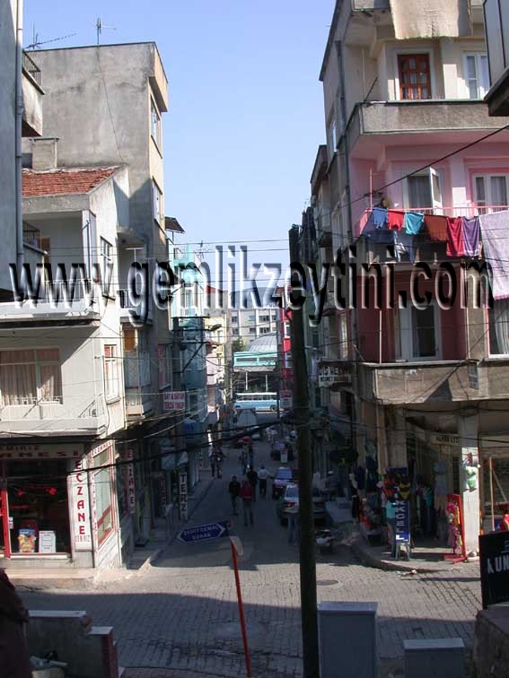 mesudiye2 mesudiye2