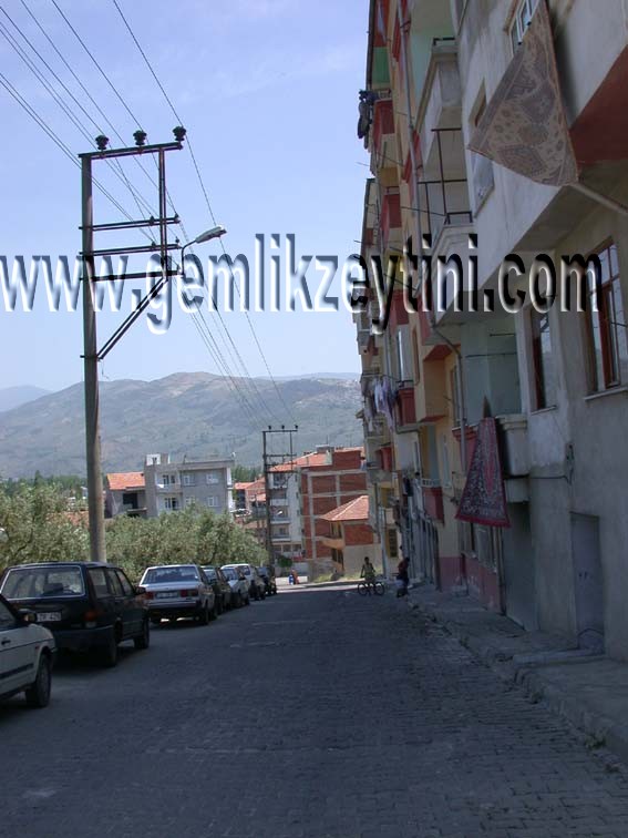 mutlu mutlu