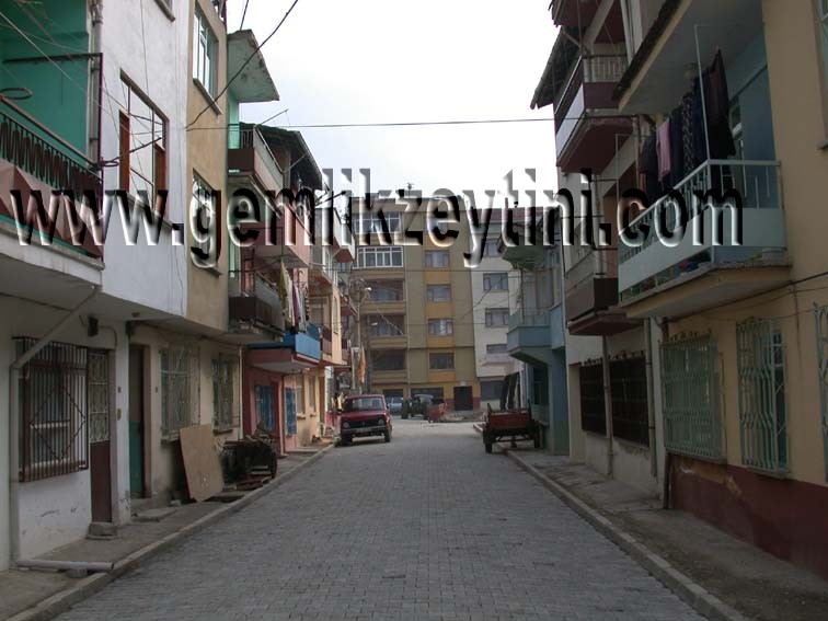 nilgun nilgun