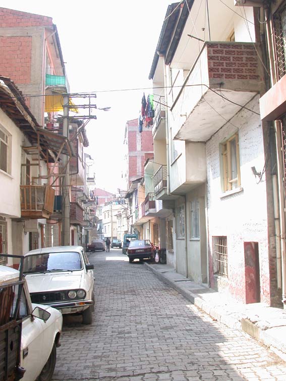 papatya papatya