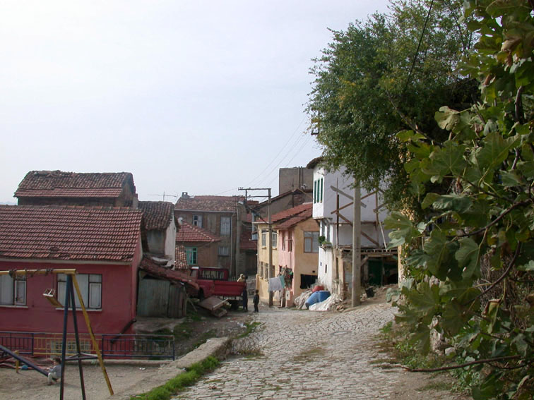 park park