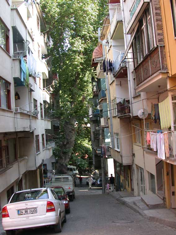 s.mustafa_dsbs s.mustafa dsbs