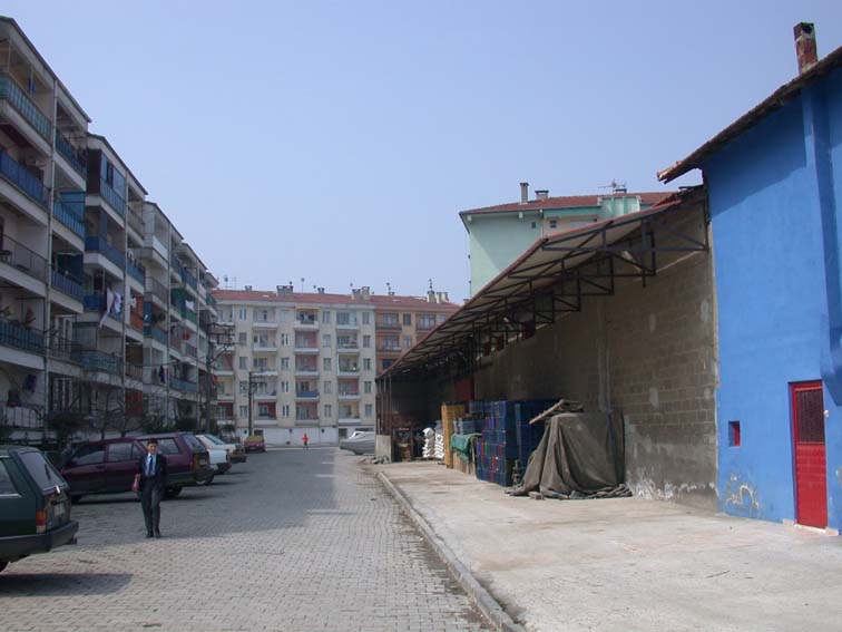 sanli sanli
