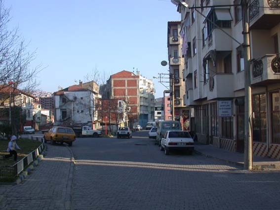 savsatlilar savsatlilar