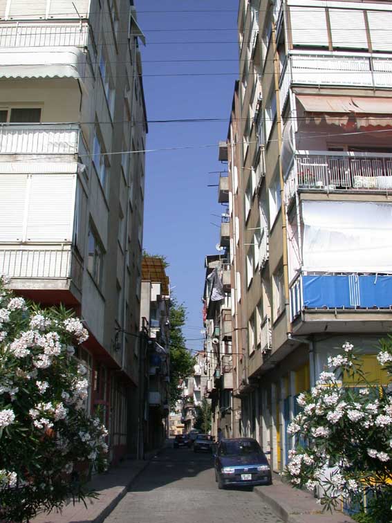 sefasokak sefasokak