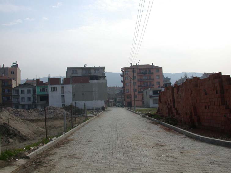 selim selim