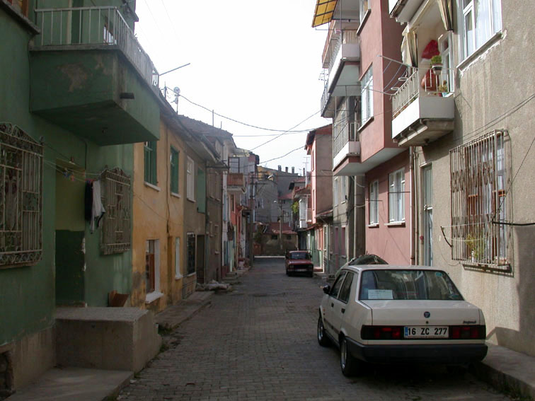 selvicikmazi selvicikmazi