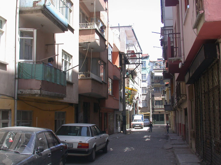 sen sen