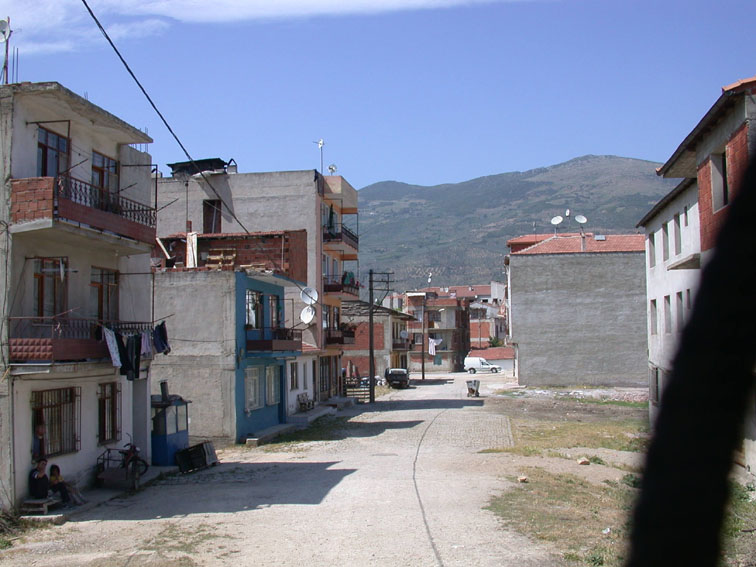 tarim tarim