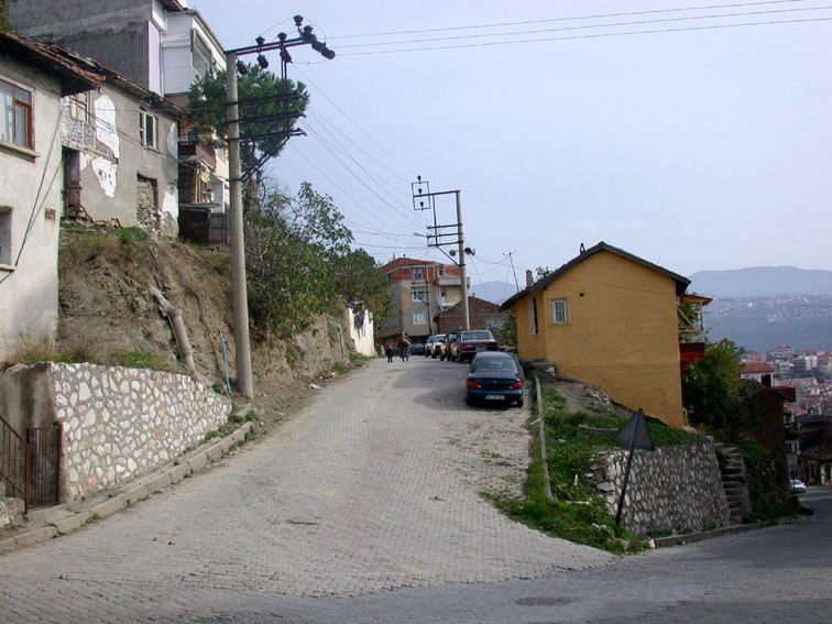 topcularcad.1 topcularcad.1