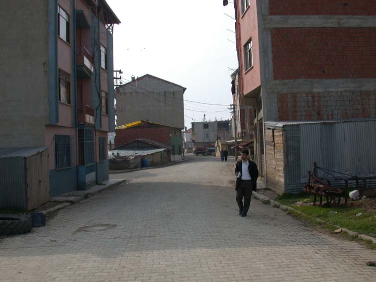 yucel yucel