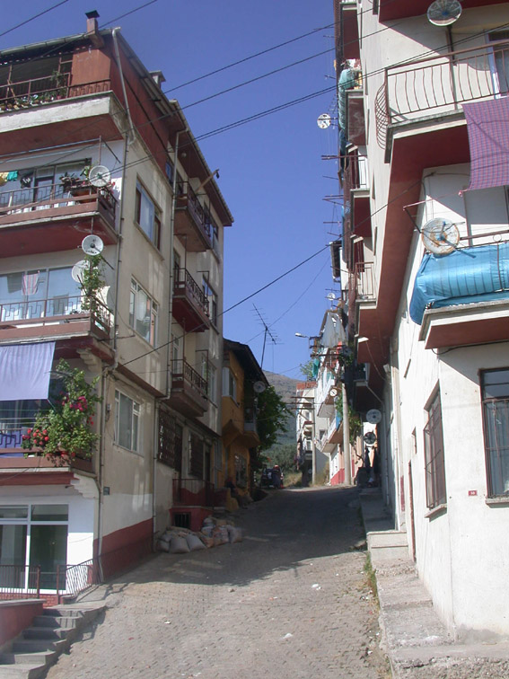 zambak_ymh zambak ymh