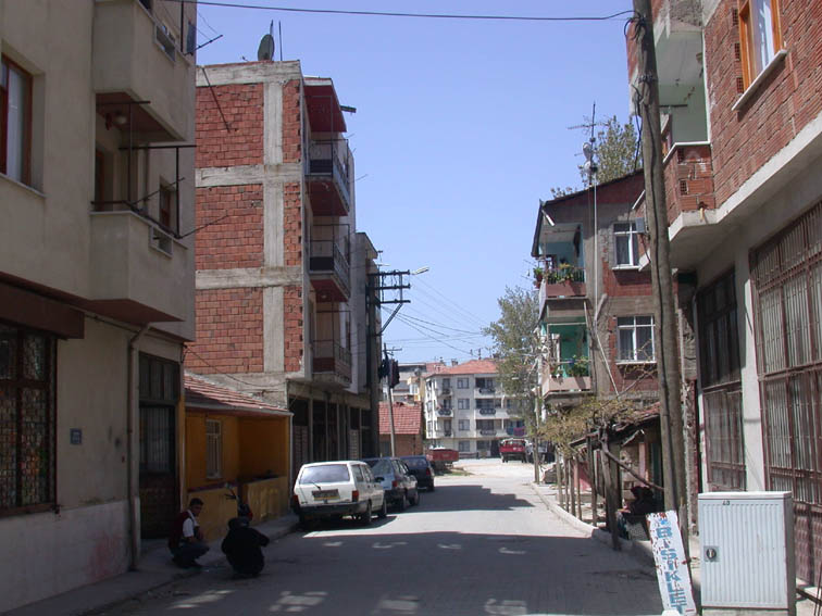 zeytin zeytin