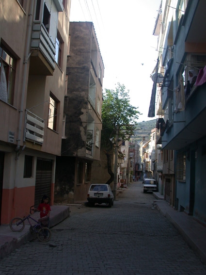 zeytinliksokak zeytinliksokak