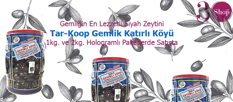 Gemlik Katırlı Köyü Kalkınma Koop.Zeytinleri – Gemlik