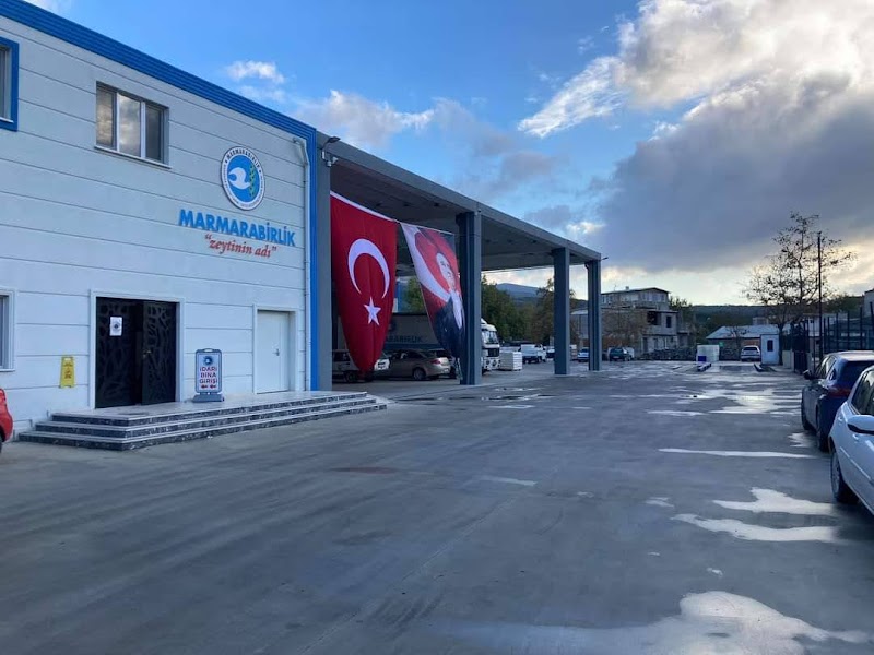 S.S. 72 Sayılı Gemlik Zeytin Tarım Satış Kooperatifi – Gemlik