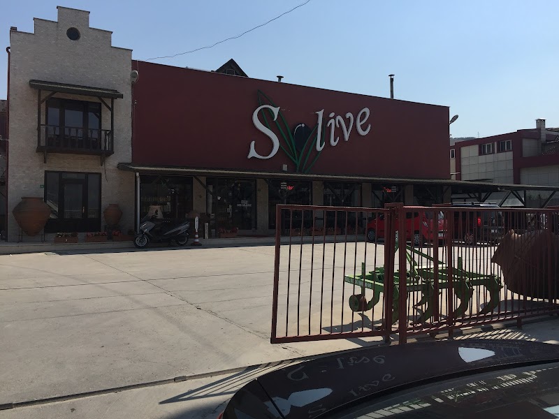 Solive Zeytin – Gemlik