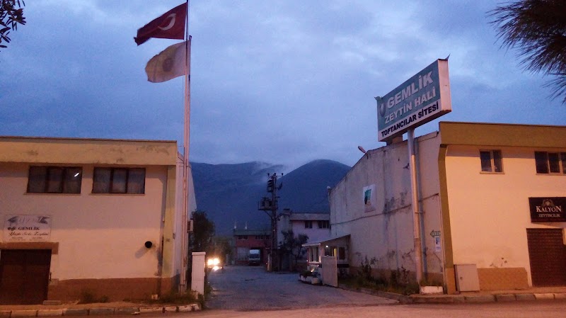 Gemlik Zeytin Hali Toptancılar Sitesi – Gemlik