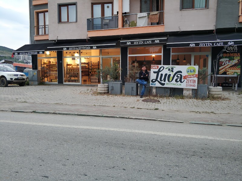 Luva Zeytincilik (Gemlik Zeytin ve Zeytinyağı) – Gemlik