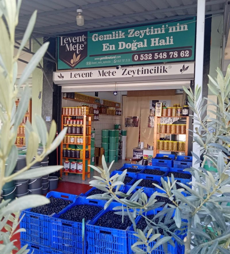 Levent Mete Zeytincilik – Gemlik