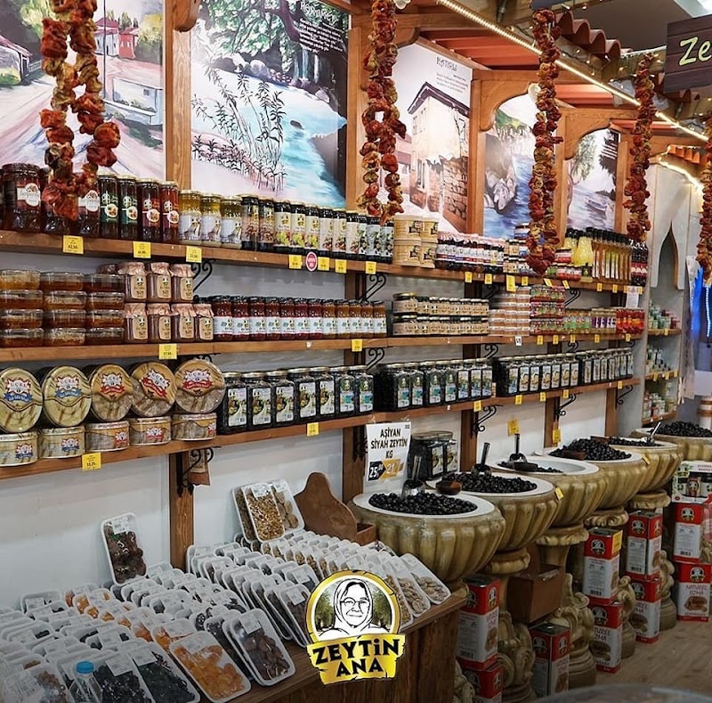 Nebioğlu Zeytincilik – Zeytin Ana(TOKENFLEX, PAYE KART, TICKET, SODEXO, METROPOL CARD, SETCARD, MULTİNET Online Alışveriş) – Gemlik