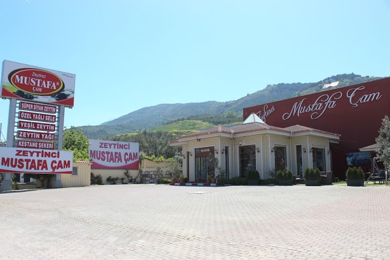 Zeytinci Mustafa Çam – Gemlik
