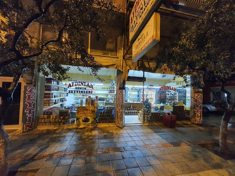 Aydınlar Zeytincilik – Gemlik