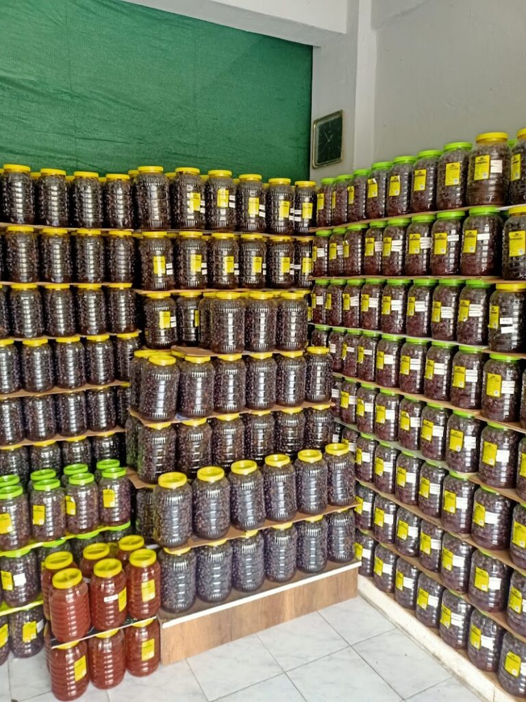 Gemlik Hedis Zeytinleri – Gemlik