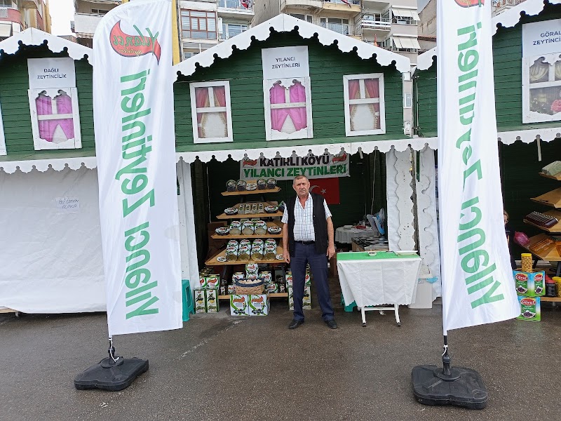 Yılancı Zeytinleri – Gemlik