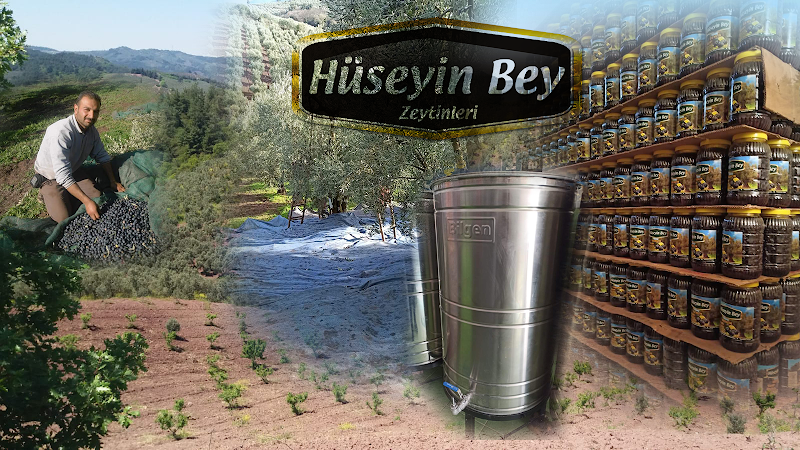 Hüseyin Bey Zeytinleri – Gemlik