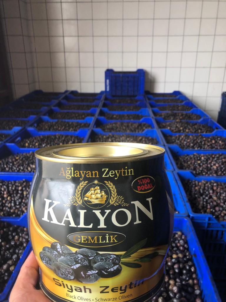 Kalyon Zeytincilik – Gemlik
