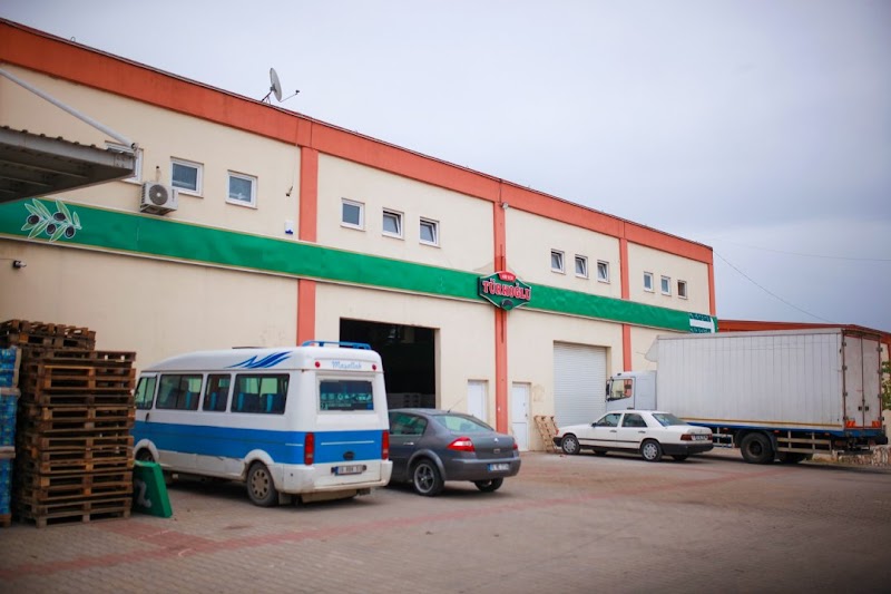 ARİF TÜRKOĞLU ZEYTİNCİLİK – Gemlik