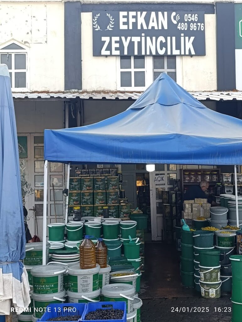 Efkan Zeytincilik – Gemlik