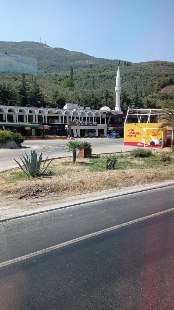 Körfezim Zeytin Ürünleri Satış Mağazası – Gemlik