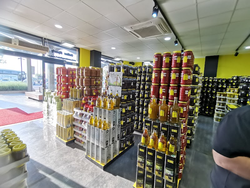 Semiz Zeytinleri – Gemlik