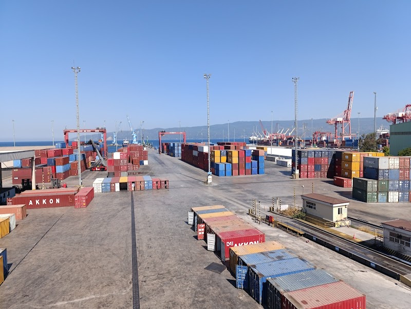 Roda Liman – Gemlik