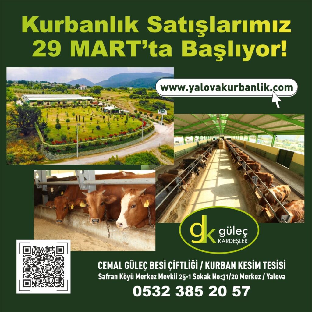 YALOVA GÜLEÇ KARDEŞLER’DE KURBANLIK SATIŞLARI 29 MART’TA BAŞLIYOR – Gemlik Gündem Gazetesi